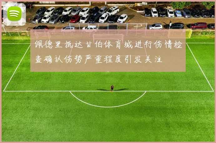 佩德里抵达甘伯体育城进行伤情检查确认伤势严重程度引发关注